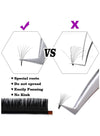رموش Globalstar Fan Lashes 0.10D Mix - إتقان احترافي