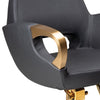 Globalstar Luxury Black & Gold Multi-Purpose Salon Chair