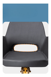 Globalstar Luxury Black & Gold Multi-Purpose Salon Chair