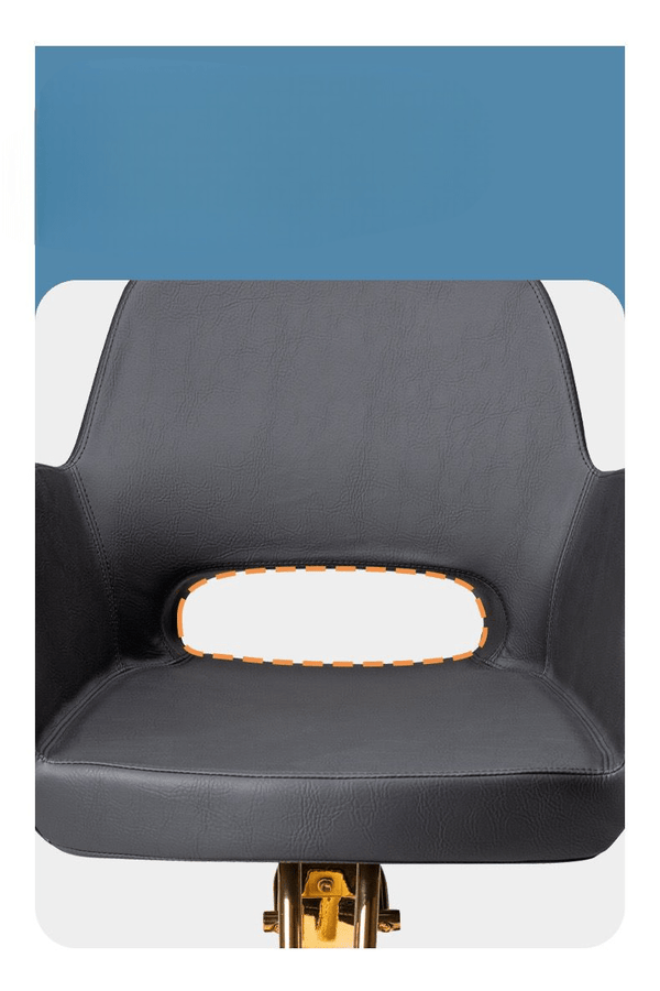 Globalstar Luxury Black & Gold Multi-Purpose Salon Chair