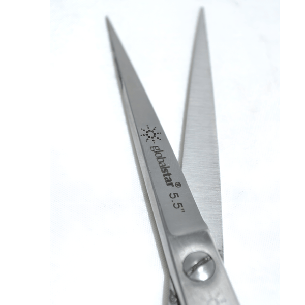 Globalstar Classic 5.5" Hair Cutting Scissors - Stainless Steel with Blue Rubber Grip