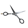 Globalstar 5.5" Precision Hair Cutting Scissors - Professional Black Finish
