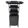 Globalstar Professional Salon Trolley With Door BS-11532 - Awarid UAE