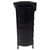 Globalstar Professional Black Salon Trolley With Door BS-1156 - Awarid UAE