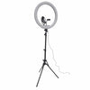 Beautystar 21'' LED Ring Light Tripod With Mirror And Phone Holder 6700N - Awarid UAE