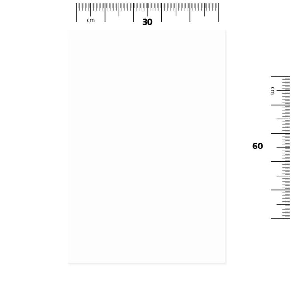 Globalstar Disposable Hygienic Towels 100pcs 30x60cm - Eco-Friendly Absorbent Cleaning Towels