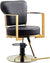 Globalstar Luxury Ladies Styling Chair – Gold Hydraulic Salon Chair for Hairdressers & Beauty Salons