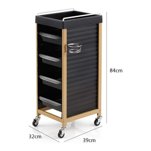 Globalstar Hair Salon Trolley Cart with Wheels – 4 Drawer Rolling Coloring Styling Tray Beauty Furniture