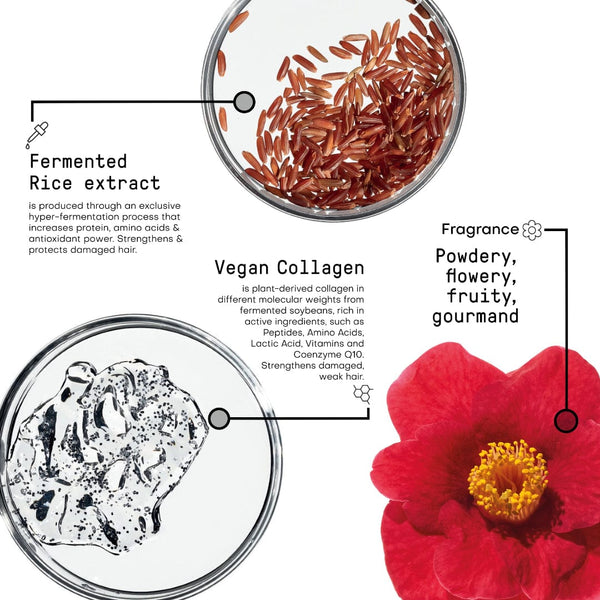 Framesi Morphosis Restructure Revitalizing Shampoo Step 1 – Professional Repair & Strengthening Cleanser (1000 ml)