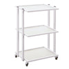 Globalstar Professional Salon Trolley 3 Shelves M-3028A - Awarid UAE