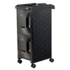 Globalstar Professional 2 Door Salon Trolley With Lock MS-3203 - Awarid UAE