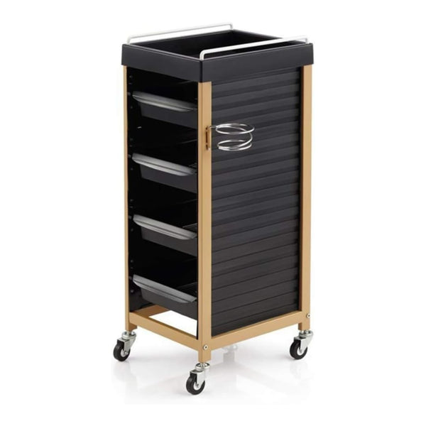 Globalstar Hair Salon Trolley Cart with Wheels – 4 Drawer Rolling Coloring Styling Tray Beauty Furniture