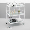 Globalstar Professional 3-Tier Glass Trolley– White Frame with Frosted Glass Shelves for Salon and Home Use