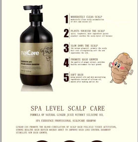 MaxCare Rejuvenating Anti Hair Loss Ginger Shampoo 500ml - Awarid UAE