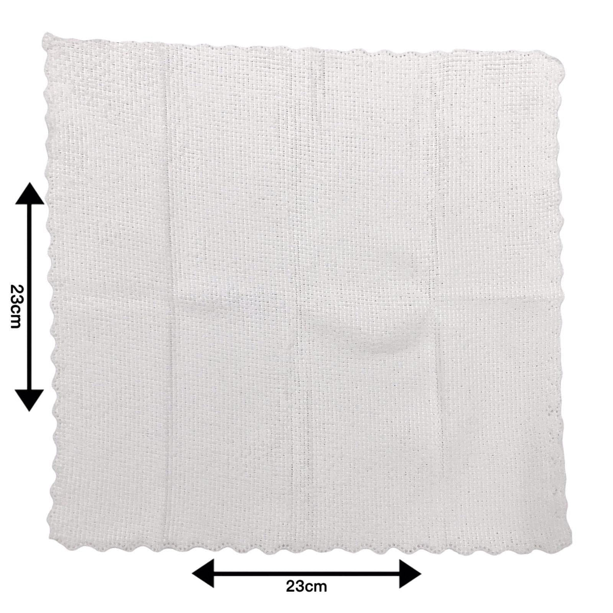 Globalstar Refreshing Wet Towel Mint 1pc - RT04